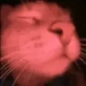 catJam