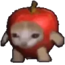 Applecatspin