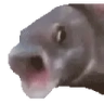 OOOO