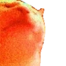 HYPERCATJAM