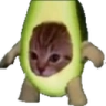 Avocato