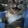 :d