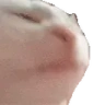 catJAM