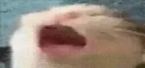AAAAAAAAAAAA