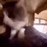 omg