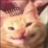 :pp
