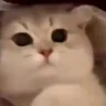 :3