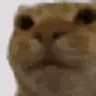 aha