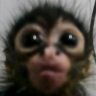 :l