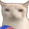 veryCat