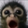 :0