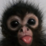 :P