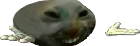 xddShrug