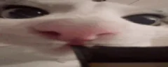 mlemm