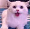 :)))
