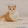 hejka