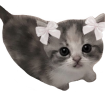 bibi