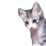 yo