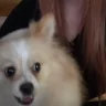 Woof