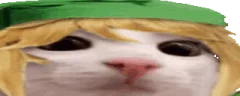 link