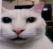 Eh