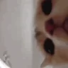 :3333