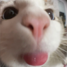 :b