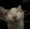 ehehe