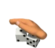 !kosci