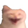 xD