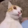 aa