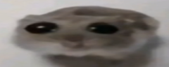 oh