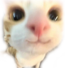 :33