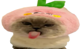 gupek