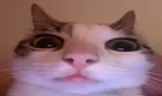 AREYOUAFREAK