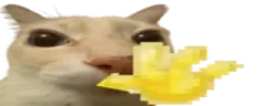 hejo