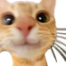 :333