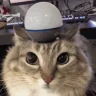 Alert