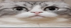 0_0