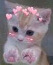 AmoreLapki