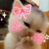 AmoreHih
