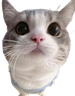 :3333