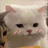 :333