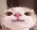)