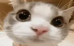 em