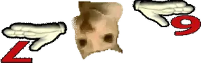76