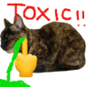 AMELKOZA