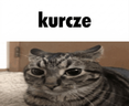 Kurcze