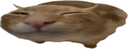 buhoh