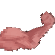 ortBicekP